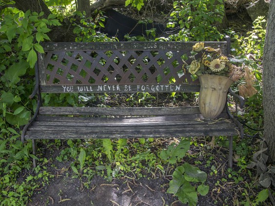 Developer to replace dilapidated Nadia Kajouji memorial bench with permanent one