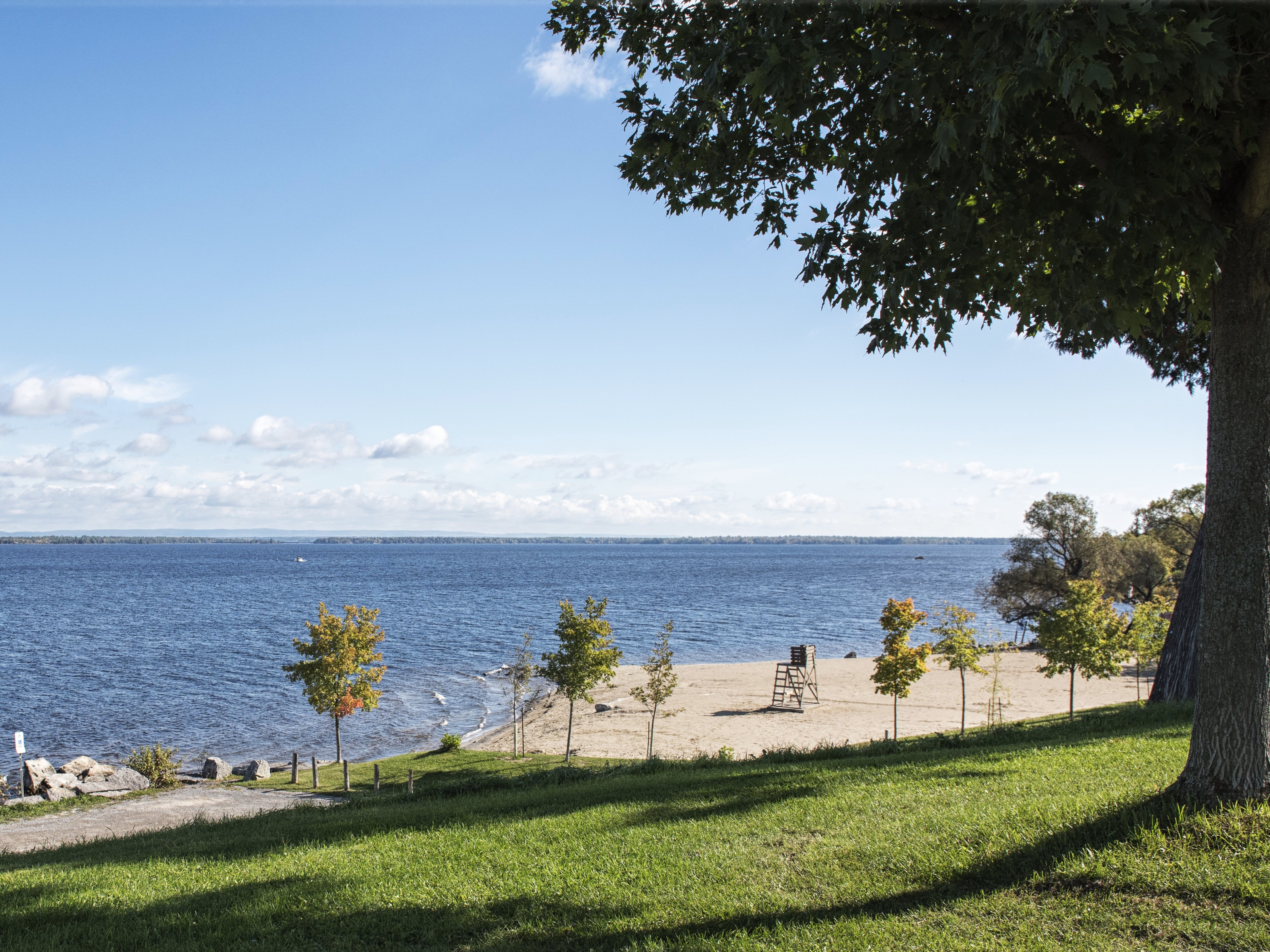 Unplug & Play: 5 Must-Visit Parks for Outdoor Fun in Arnprior