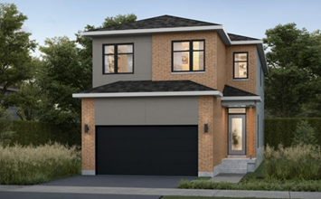 Equinelle The Paisley