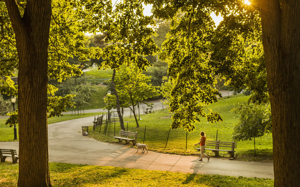 TAPESTRY Riverside South Trail Image