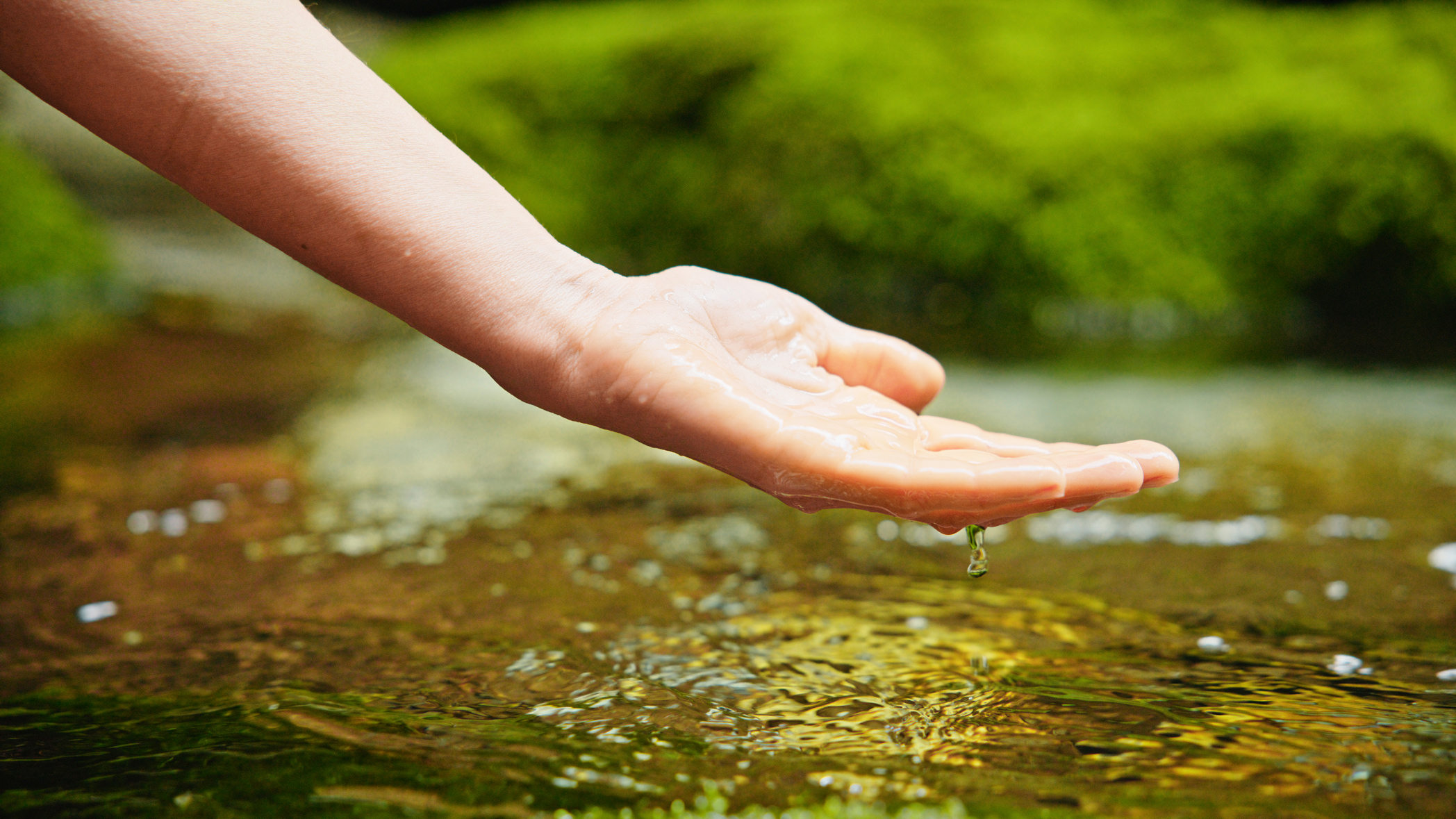 Preserving East York Creek